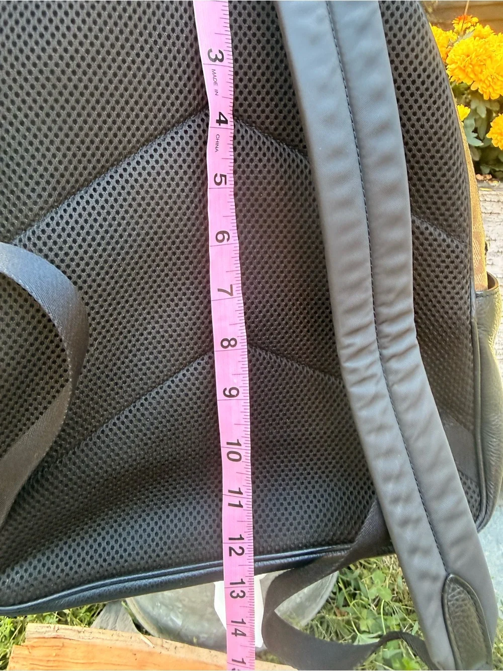 Coach Court Backpack C5681